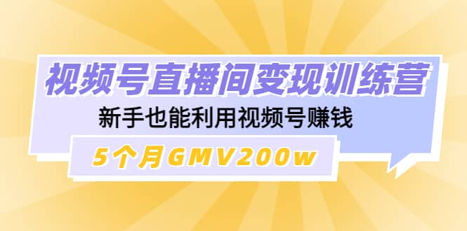 视频号直播间变现训练营网创吧-网创项目资源站-副业项目-创业项目-搞钱项目网创吧