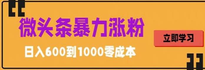 微头条暴力涨粉技巧搬运文案就能涨几万粉丝，简单0成本，日赚600网创吧-网创项目资源站-副业项目-创业项目-搞钱项目网创吧