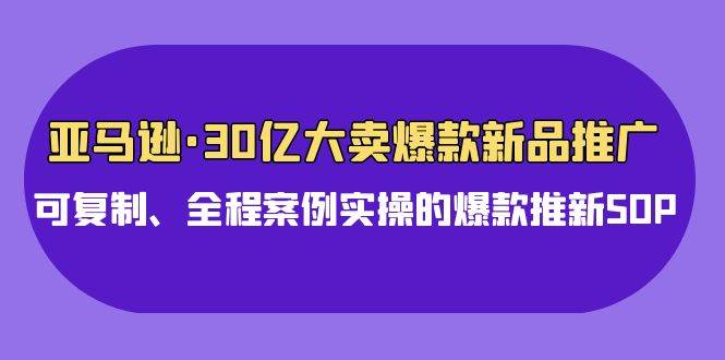 亚马逊30亿·大卖爆款新品推广，可复制、全程案例实操的爆款推新SOP网创吧-网创项目资源站-副业项目-创业项目-搞钱项目网创吧