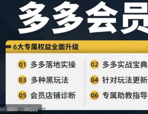 拼多多会员，拼多多实战宝典+实战落地实操，从新手到高阶内容全面覆盖网创吧-网创项目资源站-副业项目-创业项目-搞钱项目网创吧