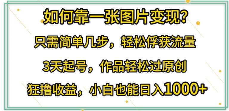 如何靠一张图片变现?只需简单几步，轻松俘获流量，3天起号，作品轻松过原创【揭秘】网创吧-网创项目资源站-副业项目-创业项目-搞钱项目网创吧