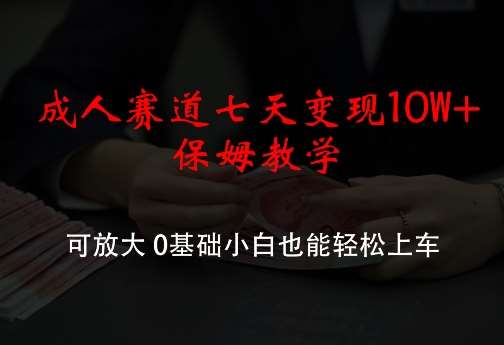 成人赛道七天变现10W+保姆教学，可放大，0基础小白也能轻松上车【揭秘】网创吧-网创项目资源站-副业项目-创业项目-搞钱项目网创吧