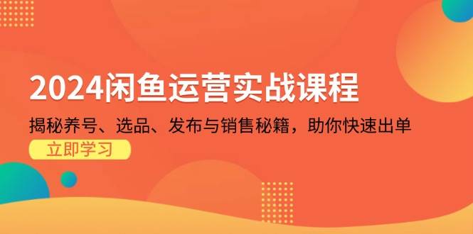 （13290期）2024闲鱼运营实战课程：揭秘养号、选品、发布与销售秘籍，助你快速出单网创吧-网创项目资源站-副业项目-创业项目-搞钱项目网创吧