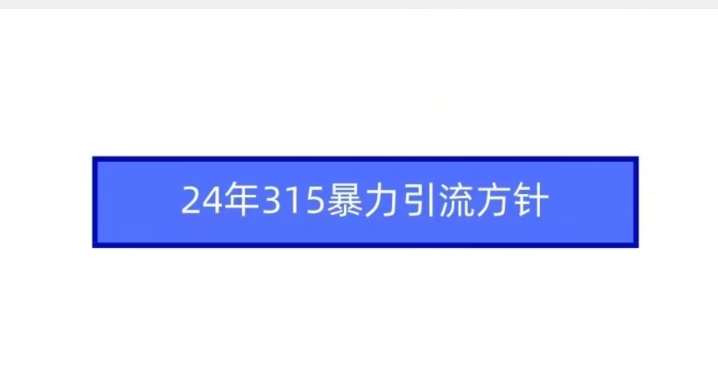 24年315暴力引流方针网创吧-网创项目资源站-副业项目-创业项目-搞钱项目网创吧