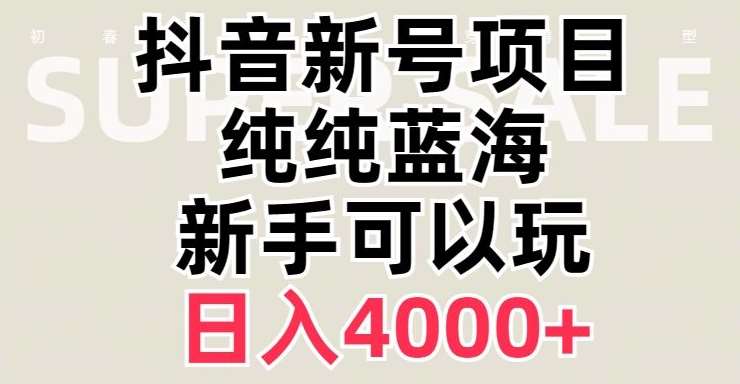 抖音蓝海赛道，必须是新账号，日入4000+【揭秘】网创吧-网创项目资源站-副业项目-创业项目-搞钱项目网创吧