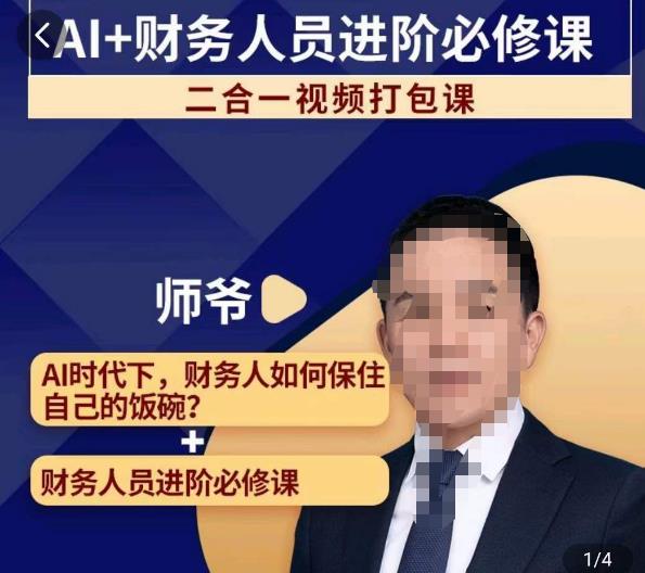 AI+财务人员进阶必修课二合一视频打包课，财务人员进阶必修课网创吧-网创项目资源站-副业项目-创业项目-搞钱项目网创吧