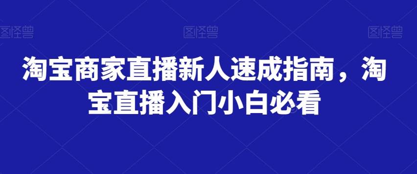 淘宝商家直播新人速成指南，淘宝直播入门小白必看网创吧-网创项目资源站-副业项目-创业项目-搞钱项目网创吧