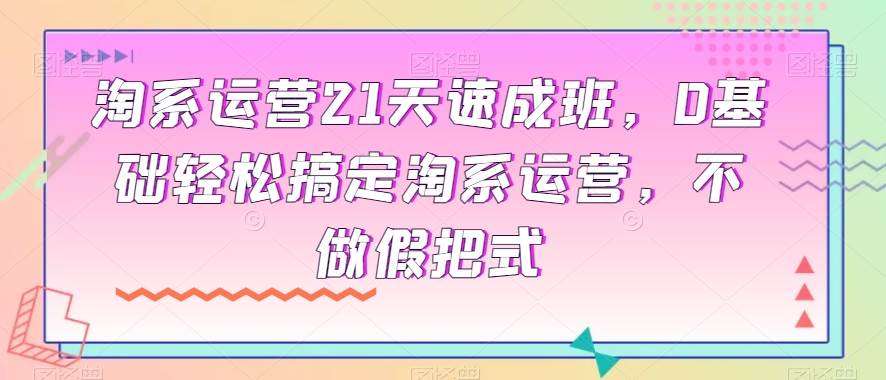 淘系运营21天速成班，0基础轻松搞定淘系运营，不做假把式网创吧-网创项目资源站-副业项目-创业项目-搞钱项目网创吧