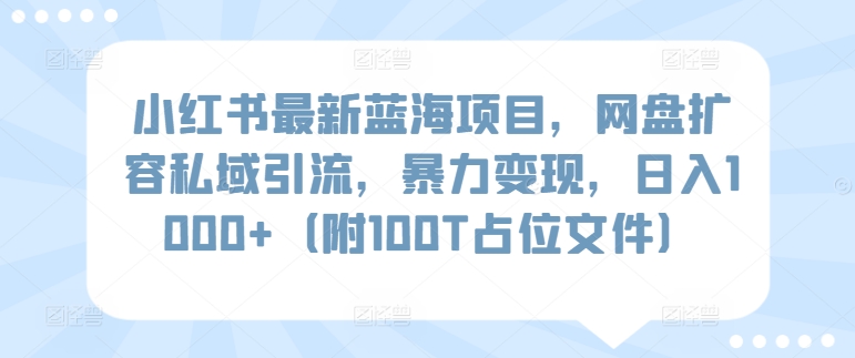 小红书最新蓝海项目，网盘扩容私域引流，暴力变现，日入1000+（附100T占位文件）【揭秘】网创吧-网创项目资源站-副业项目-创业项目-搞钱项目网创吧