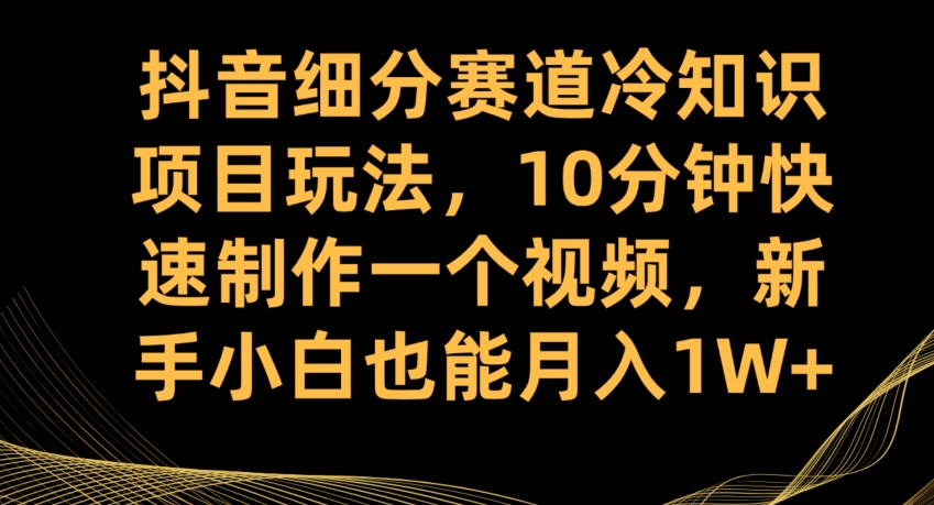 抖音细分赛道冷知识项目玩法，10分钟快速制作一个视频，新手小白也能月入1W+【揭秘】网创吧-网创项目资源站-副业项目-创业项目-搞钱项目网创吧