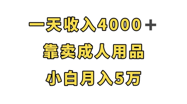 一天收入4000+，靠卖成人用品，小白轻松月入5万【揭秘】网创吧-网创项目资源站-副业项目-创业项目-搞钱项目网创吧