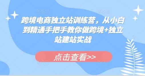 跨境电商独立站训练营，从小白到精通手把手教你做跨境+独立站建站实战网创吧-网创项目资源站-副业项目-创业项目-搞钱项目网创吧