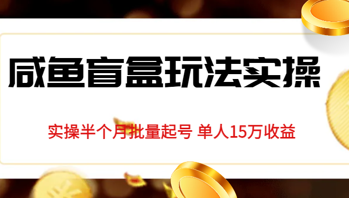 独家首发咸鱼盲盒玩法实操，半个月批量起号单人15万收益揭秘网创吧-网创项目资源站-副业项目-创业项目-搞钱项目网创吧