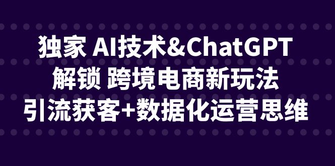 独家 AI技术&ChatGPT解锁 跨境电商新玩法，引流获客+数据化运营思维网创吧-网创项目资源站-副业项目-创业项目-搞钱项目网创吧