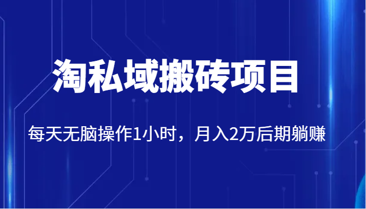 价值2980的淘私域搬砖项目，每天无脑操作1小时，月入2万后期躺赚网创吧-网创项目资源站-副业项目-创业项目-搞钱项目网创吧