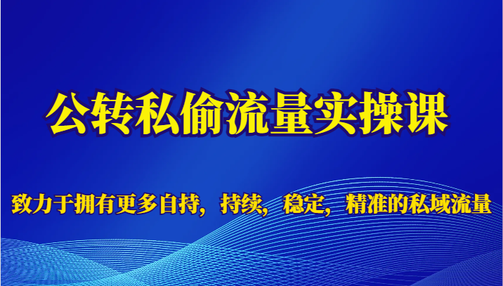 公转私偷流量实操课，致力于拥有更多自持，持续，稳定，精准的私域流量网创吧-网创项目资源站-副业项目-创业项目-搞钱项目网创吧