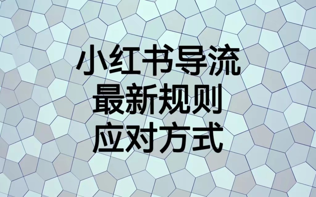 小红书导流最新规则应对方式，新规以后目前还可用的引流方式解读网创吧-网创项目资源站-副业项目-创业项目-搞钱项目网创吧