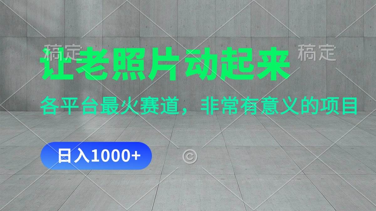 （11671期）让老照片动起来，一天变现1000+，各平台最火赛道，看完就会网创吧-网创项目资源站-副业项目-创业项目-搞钱项目网创吧