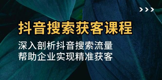 抖音搜索获客课程：深入剖析抖音搜索流量，帮助企业实现精准获客网创吧-网创项目资源站-副业项目-创业项目-搞钱项目网创吧