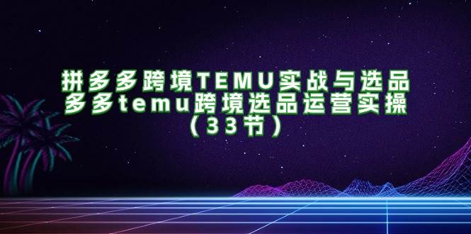 （11934期）拼多多跨境TEMU实战与选品，多多temu跨境选品运营实操（33节）网创吧-网创项目资源站-副业项目-创业项目-搞钱项目网创吧
