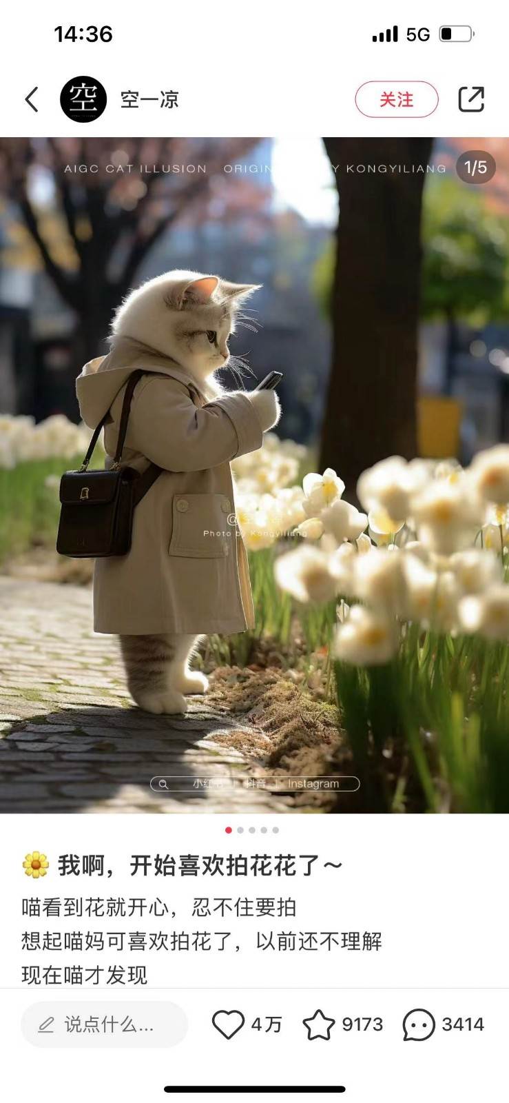 图片[2]网创吧-网创项目资源站-副业项目-创业项目-搞钱项目AI猫咪穿搭保姆级教程，起号容易，变现途径多网创吧-网创项目资源站-副业项目-创业项目-搞钱项目网创吧