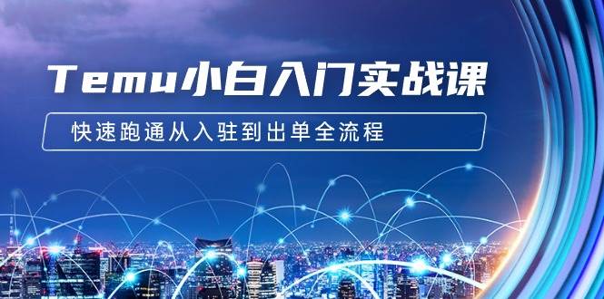 （9295期）Temu小白入门实战课：跨境拼多多电商培训 快速跑通从入驻到出单全流程-12节网创吧-网创项目资源站-副业项目-创业项目-搞钱项目网创吧