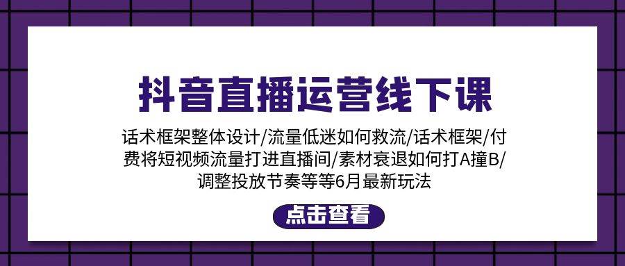 （11211期）抖音直播运营线下课：话术框架/付费流量直播间/素材A撞B/等6月新玩法网创吧-网创项目资源站-副业项目-创业项目-搞钱项目网创吧