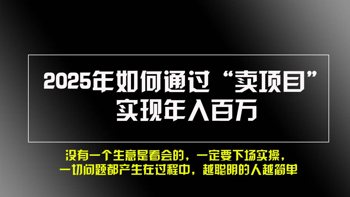 （13468期）2025年如何通过“卖项目”实现年入百万，做网赚必看！！网创吧-网创项目资源站-副业项目-创业项目-搞钱项目网创吧