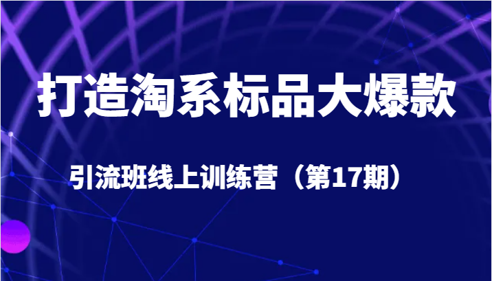 打造淘系标品大爆款引流班线上训练营5天直播授课+1个月答疑网创吧-网创项目资源站-副业项目-创业项目-搞钱项目网创吧