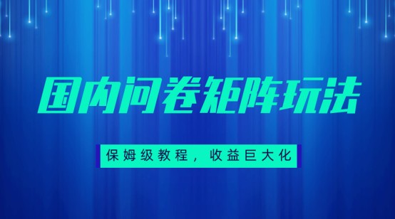 保姆级教程，国内问卷矩阵玩法，轻松赚收益网创吧-网创项目资源站-副业项目-创业项目-搞钱项目网创吧