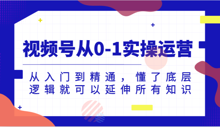 视频号从0-1实操运营，从入门到精通，懂了底层逻辑就可以延伸所有知识网创吧-网创项目资源站-副业项目-创业项目-搞钱项目网创吧