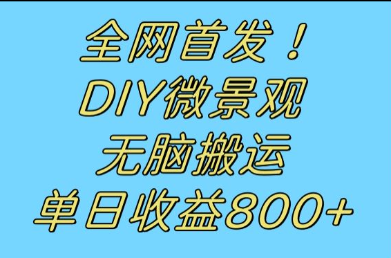 全网首发冷门赛道！DIY微景观，无脑搬运视频，日收益800+网创吧-网创项目资源站-副业项目-创业项目-搞钱项目网创吧