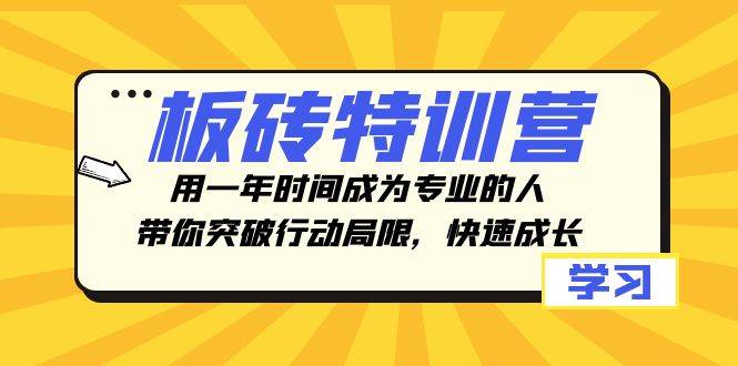 板砖特训营，用一年时间成为专业的人，带你突破行动局限，快速成长网创吧-网创项目资源站-副业项目-创业项目-搞钱项目网创吧