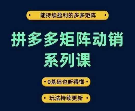 拼多多矩阵动销系列课，能持续盈利的多多矩阵，0基础也听得懂，玩法持续更新网创吧-网创项目资源站-副业项目-创业项目-搞钱项目网创吧