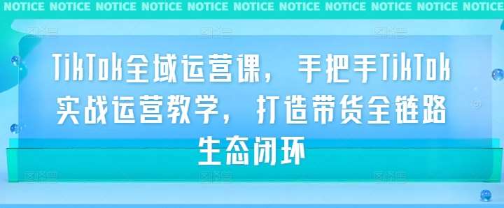 TikTok全域运营课，手把手TikTok实战运营教学，打造带货全链路生态闭环网创吧-网创项目资源站-副业项目-创业项目-搞钱项目网创吧