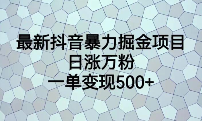 最新抖音暴力掘金项目，日涨万粉，一单变现500+【揭秘】网创吧-网创项目资源站-副业项目-创业项目-搞钱项目网创吧