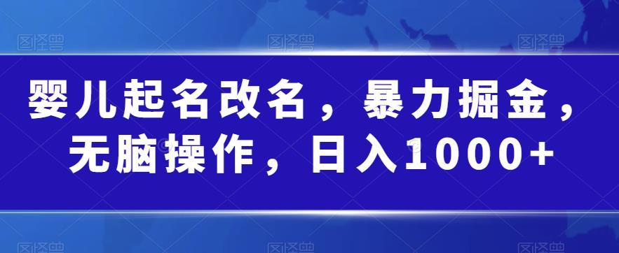 婴儿起名改名，暴力掘金，无脑操作，日入1000+【揭秘】网创吧-网创项目资源站-副业项目-创业项目-搞钱项目网创吧