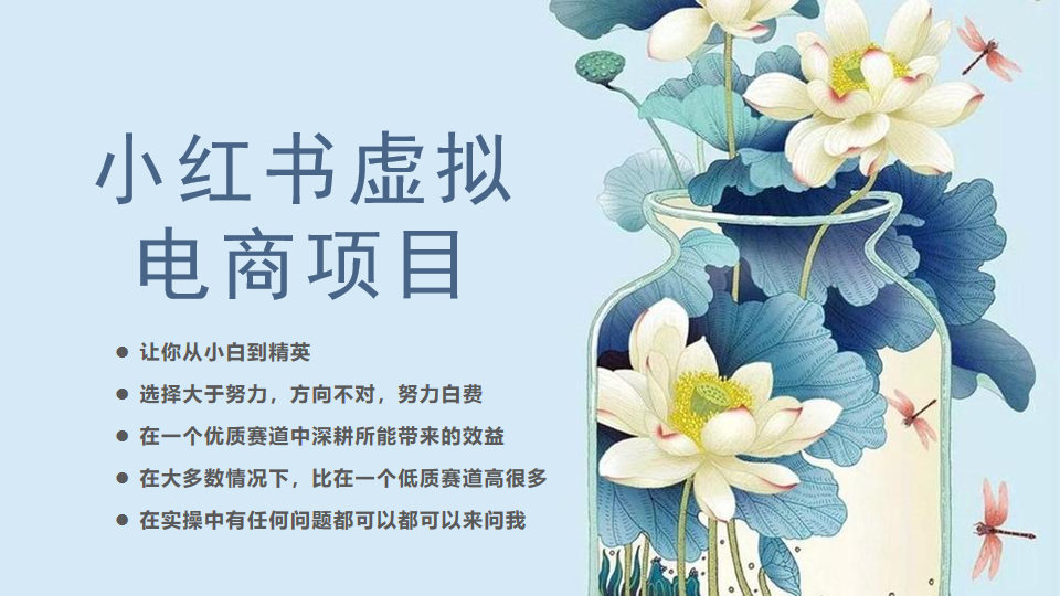 小红书虚拟电商从0到1小白到精英（20节实操课程）网创吧-网创项目资源站-副业项目-创业项目-搞钱项目网创吧