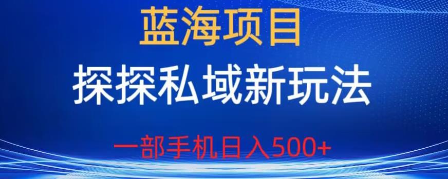 蓝海项目，探探私域新玩法，一部手机日入500+很轻松【揭秘】网创吧-网创项目资源站-副业项目-创业项目-搞钱项目网创吧