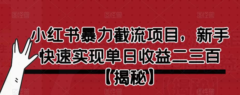 小红书暴力截流项目，新手快速实现单日收益二三百【仅揭秘】网创吧-网创项目资源站-副业项目-创业项目-搞钱项目网创吧