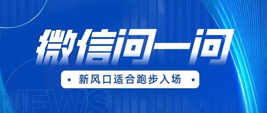 全网首发微信问一问新风口变现项目（价值1999元）网创吧-网创项目资源站-副业项目-创业项目-搞钱项目网创吧