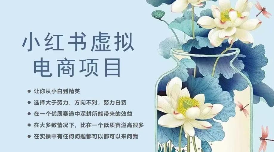 小红书虚拟电商从0到1，让你从小白到精英（20节实操课程）网创吧-网创项目资源站-副业项目-创业项目-搞钱项目网创吧