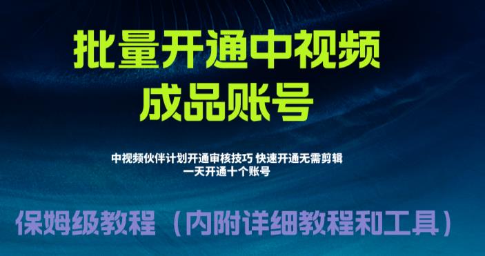 外面收费1980的暴力开通中视频计划教程，内附详细的快速通过中视频伙伴计划的办法网创吧-网创项目资源站-副业项目-创业项目-搞钱项目网创吧