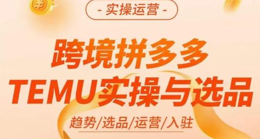 伍跃·跨境拼多多TEMU实操与选品，​趋势/选品/运营/入住（27节完整）网创吧-网创项目资源站-副业项目-创业项目-搞钱项目网创吧