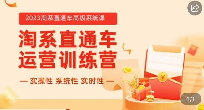 冠东·2023淘系直通车高级系统课，​实操性，系统性，实时性，直通车完整体系教学网创吧-网创项目资源站-副业项目-创业项目-搞钱项目网创吧