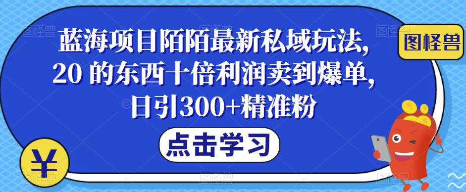 蓝海项目陌陌最新私域玩法，20 的东西十倍利润卖到爆单，日引300+精准粉【揭秘】网创吧-网创项目资源站-副业项目-创业项目-搞钱项目网创吧