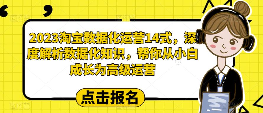 2023淘宝数据化运营14式，深度解析数据化知识，帮你从小白成长为高级运营网创吧-网创项目资源站-副业项目-创业项目-搞钱项目网创吧