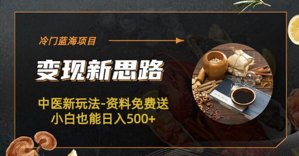 冷门蓝海项目-中医新玩法-资料免费送小白也能日入500+【揭秘】网创吧-网创项目资源站-副业项目-创业项目-搞钱项目网创吧