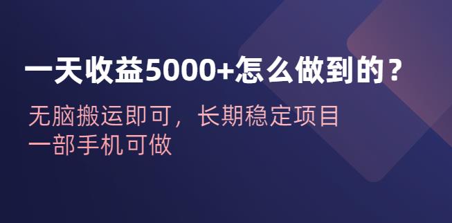 一天收益5000+怎么做到的？无脑搬运即可，长期稳定项目，一部手机可做【揭秘】网创吧-网创项目资源站-副业项目-创业项目-搞钱项目网创吧