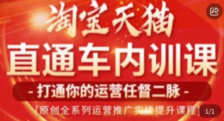 天问电商·2023淘宝天猫直通车内训课，零基础学起直通车运营实操课程网创吧-网创项目资源站-副业项目-创业项目-搞钱项目网创吧